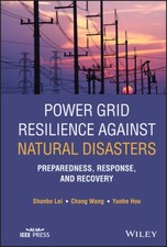 Power Grid Resilience against Natural Disasters: Preparedness, Response, and