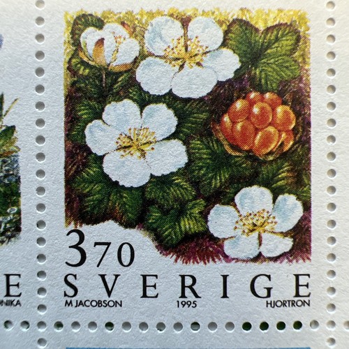 1995 FJÄLLBLOMMOR - MOUNTAIN FLOWERS Swedish Complete Booklet of Stamps - Picture 3 of 6
