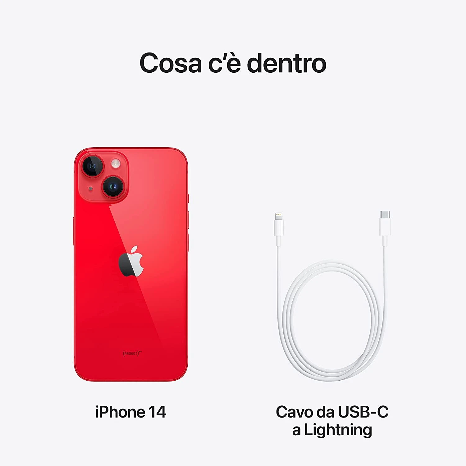 Foto 7 di 7