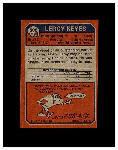 1973 TOPPS FOOTBALL YOU PICK FINISH OR UPGRADE YOUR SET HIGHER GRADE SET BREAK - Picture 385 of 457