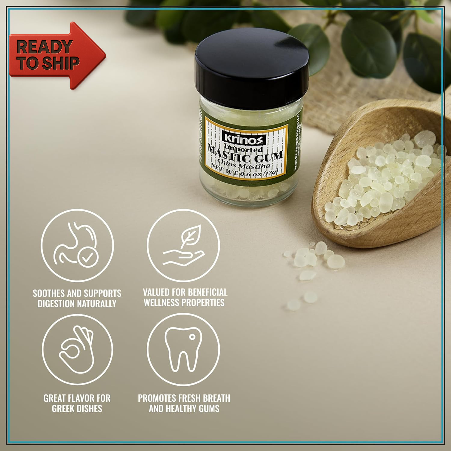 Greek Mastic Gum: Rich History, Piney Flavor, Culinary Treasure | Chios Island P