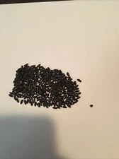 FAKE MOUSE POOP , GREAT PRANK!! Minimum 600 FAKE DROPPINGS!!