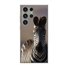 Bild 83 von 84