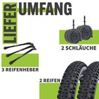 Bild 12 von 25