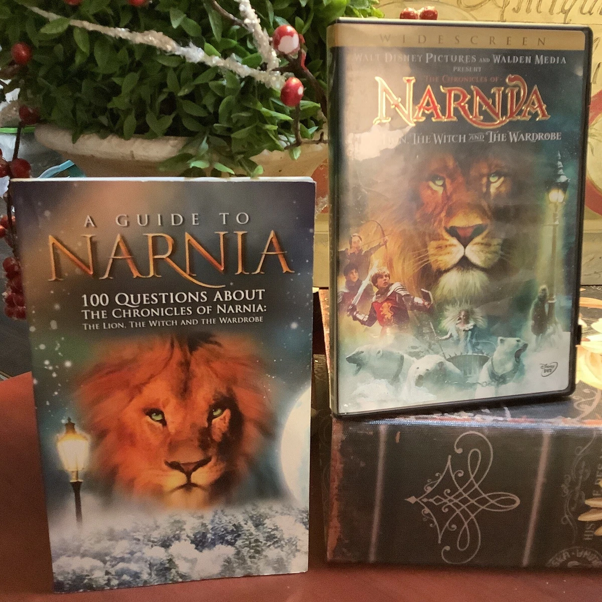 The Chronicles of Narnia: The Lion/The Witch & the Wardrobe (DVD