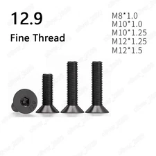 Fine Thread Black 12.9 Steel Hex Socket Countersunk Flat Head Screws M8/M10/M12