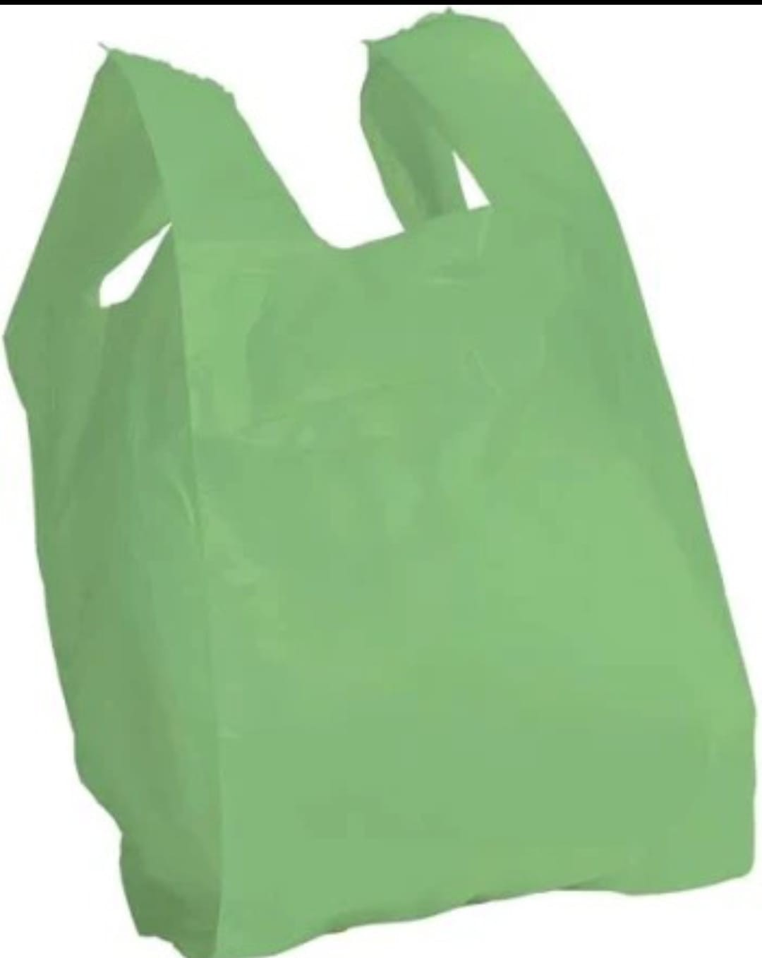 100 Shopper Bio Compostabili Maxi 30x60 cm 100 buste