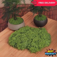 1x Artificial Green Moss Decoration Fake Lawn Potted Plant Indoor Outdoor Garden