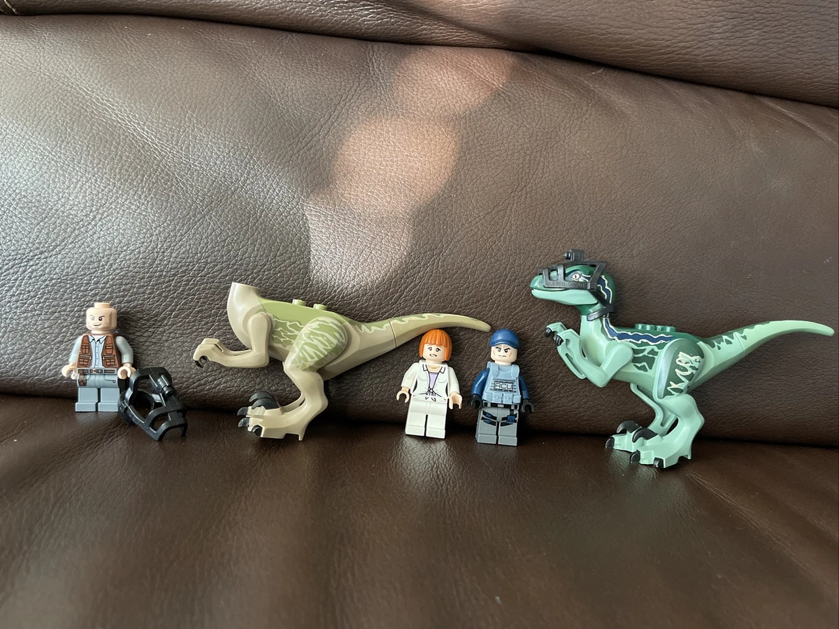 LEGO Jurassic World Raptor Lot 75917 Dinosaurs Blue, Delta, Owen