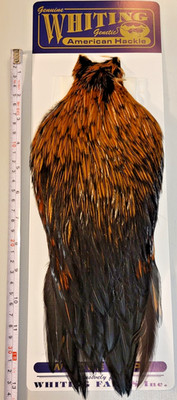 Whiting American Rooster Cape, Furnace, Fly Tying