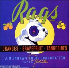 Tampa Florida Rags Mutt Puppy Dog Orange Citrus Fruit Crate Label Art Print