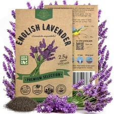 English Lavender Seeds Pack 2.50G - Over 2200 Non-GMO 1-pack Lavender Seeds