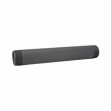 Westlake Pipe Fittings 220-030 Pipe Nipple 2 in 3 in L PVC SCH 80/XH