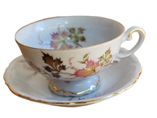 Mitterteich Bavaria Tea Coffee Cup Saucer Autumn Leaves Gold Pink Footed M19