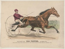 Foto: Terre Haute Indiana Hal Pointer Ed Geers 1890 Arnés Carreras Impresión