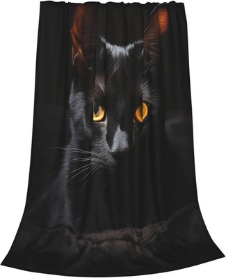 #ad Cute Black Cat Blanket $23.98