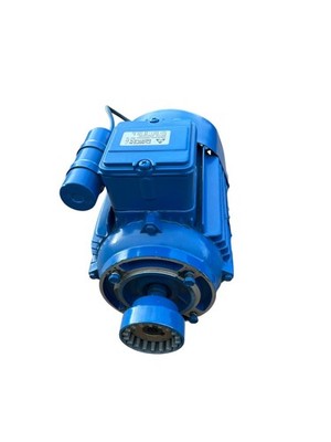 Seva SEV-M80 EØ19mm Electric Motor AC Motor Single Phase Motor 1 Phase Motor