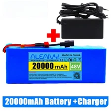 48V 20Ah 1000W 13S3P Battery Pack with BMS for Electric E-bikes+54.6V 2A Charger