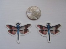 Temporary Tattoos - Set of 2 Dragonflies approx. 1.5" each 