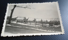 Altes Foto Landwirtschaft DDR, Offenstall Schweinestall um 1955 (5)