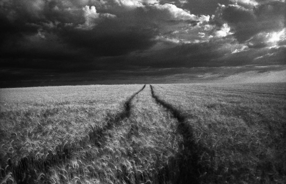 2 rollos - Película negativa ADOX CHS 100 II B&W blanco y negro 36 exp 35 mm   Foto 2 de 4