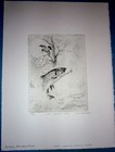 Bild 2 von 7