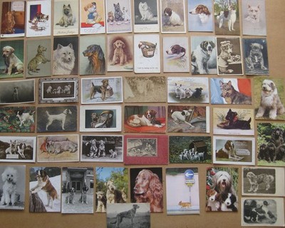HUNDE Restposten 50x alte Postkarten um 1900-70er Jahre, süß, Comic, Welpen