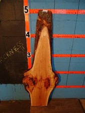 A1443 1 15/16" THICK cherry burl live edge slab KILN DRIED and PLANED