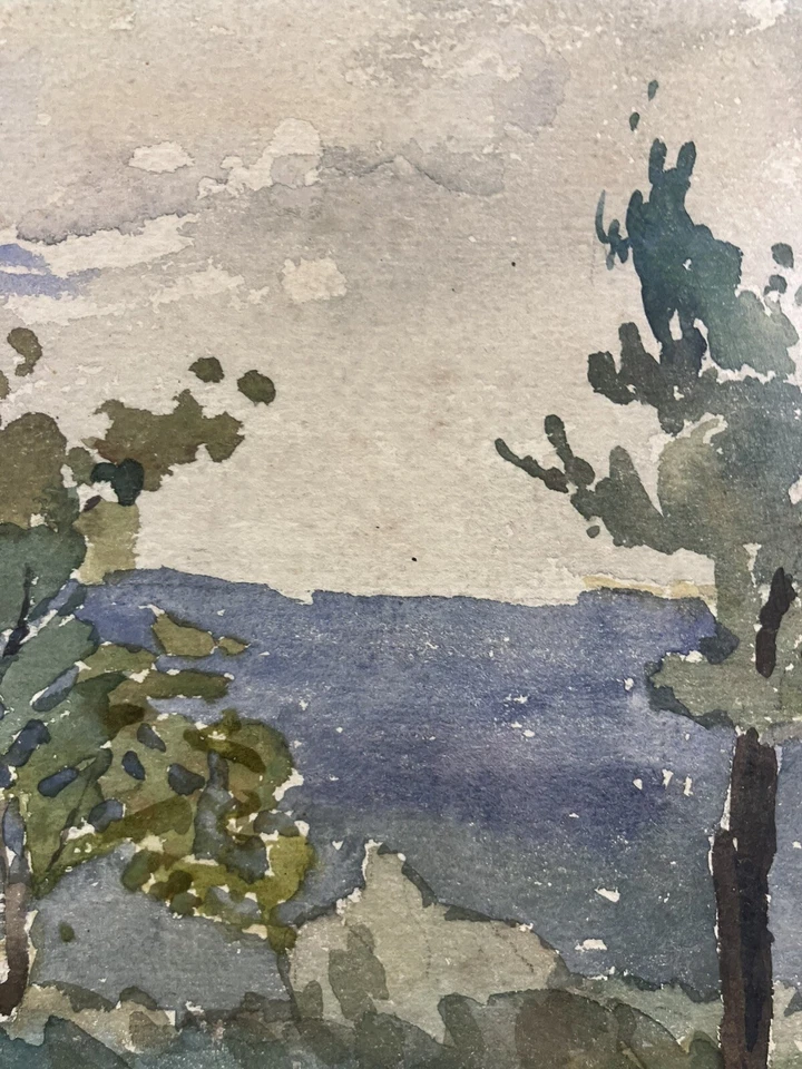 André MUGNIER (1875-1920) États-Unis Louisiane Etude d'Arbre Bâton-Rouge USA - Photo 3/4