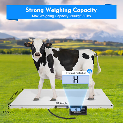 300kg Digitalwaage Paketwaage Veterinärwaage Große Tierwaage LCD Plattformwaage