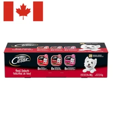 CESAR Classic Loaf in Sauce Adult Wet Dog Food Beef Selects Variety Pack, 24x100