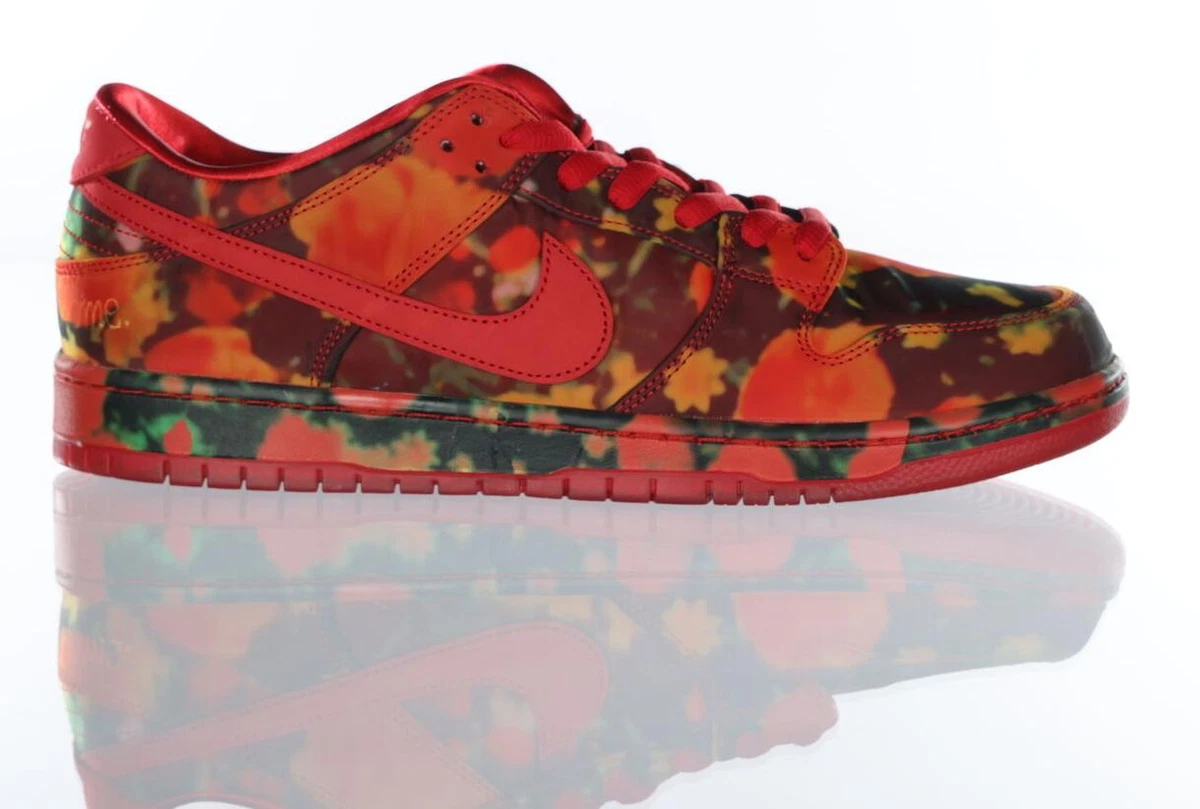 Nike The Wizard of Oz x Dunk SB Low Poppy Field - огромный выбор