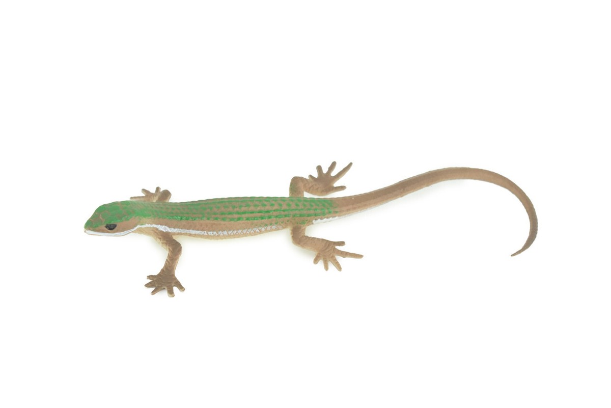 Green Spotted Whiptail Lizard, Realistic Hand Painted Rubber Toy 5