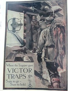 Victor Traps Advertising Poster Where Trappers Go. Edwards Artist Oneida, N.Y. 