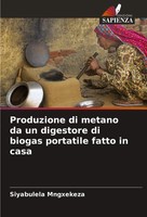 Produzione Di Metano Da Un Digestore Di Biogas Portatile Fatto In Casa Mngxekeza