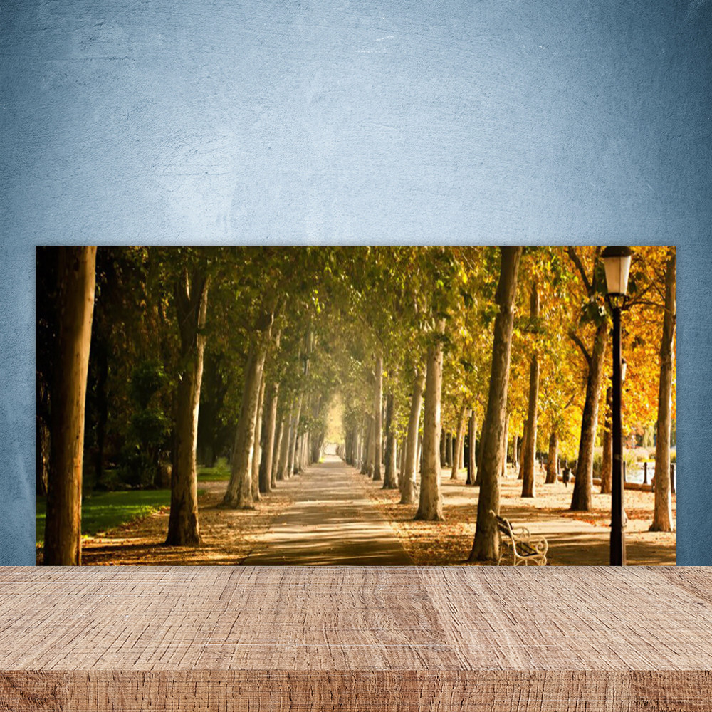 Crédence de cuisine en verre 100x50 cm motif avenue du parc pour protection murale