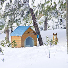 Dog Door Replacement Flap Plastic Vinyl Door Strips Transparent Dog House Doo...