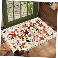 Indoor Door Mat Entrance Rug 2'x3'Soft Non Slip Machine Washable Floral Small