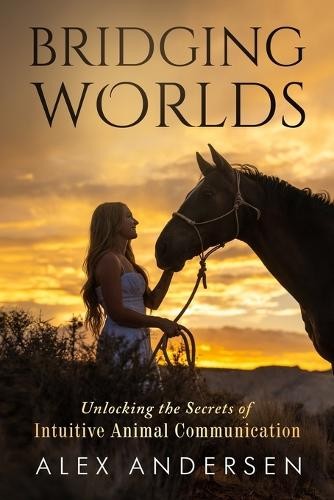 Alex Andersen Bridging Worlds (Tascabile)