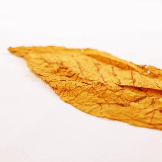 Virginia Bulgarian-Tonga-Tabak als ganzes Blatt - Bild 3 von 4