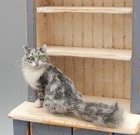 OOAK Hand Sculpted Kitty Cat Looking Intently Artisan Dollhouse Miniature 1:12