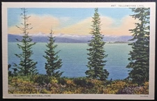 Yellowstone Lake Yellowstone National Park Linen Postcard Sanborn Colortone