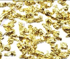 0,500 GRAMMES ALASKA YUKON BC PÉPITES D'OR PUR NATUREL #12 MAILLE (#G120)