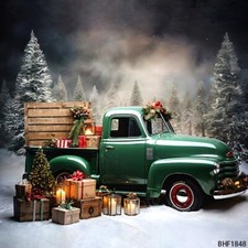 10'x10' CP Christmas Season Scenic Microfiber Fabric background backdrop BHF1848