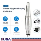360°Swivel Dental Hygiene Prophy Handpiece Air Motor 4 Holes W/ 4:1 Nose cone