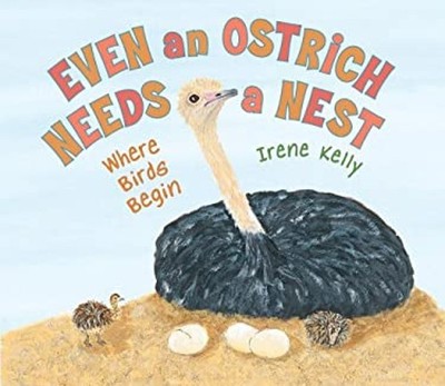 Even an Ostrich Needs a Nest : Where Birds Begin Irene Kelly