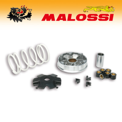 5113139 [MALOSSI] VARIATOR MULTIVAR - PEUGEOT V-CLIC 50 4T / MALAGUTI DVD 50