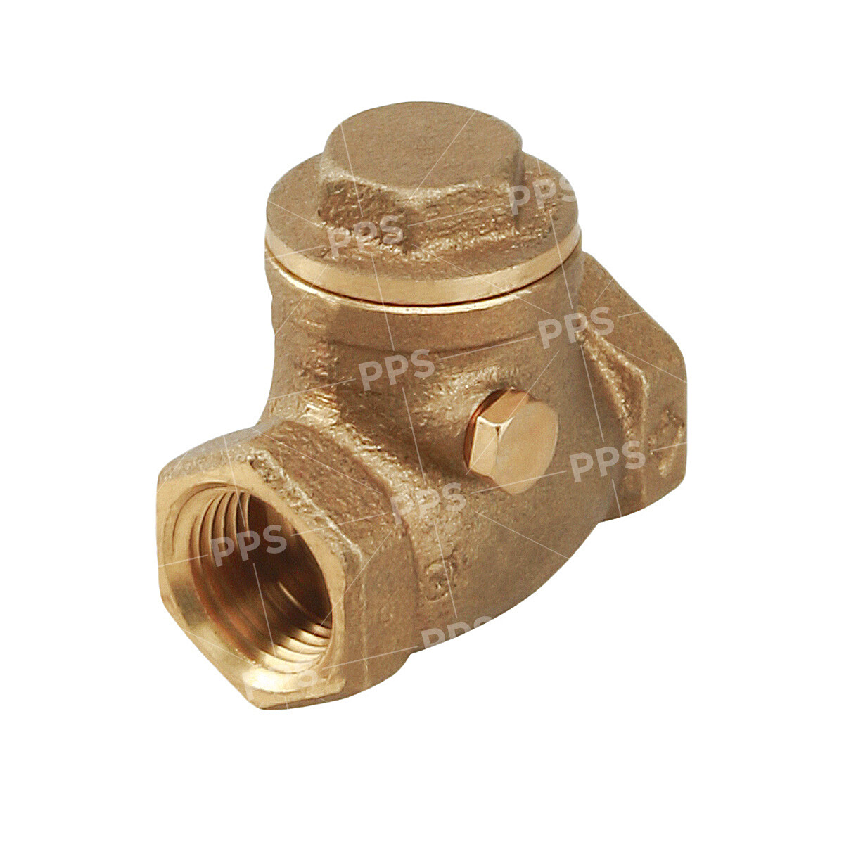 FIP Brass Swing Check Valve Connections Threaded Plumbing Fitting 1/2"in-4"in
