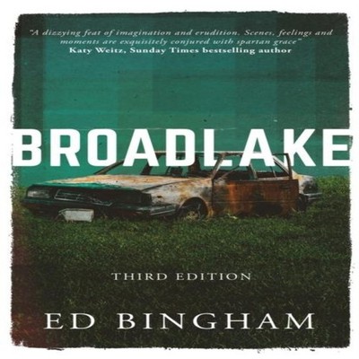 BROADLAKE Third Edition Ed Bingham Paperback Thinkwell Books UK