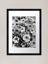 Surfina Black and White Framed Art  Framed Wall Art Poster Canvas Print Picture